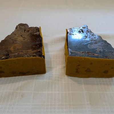 Beautiful Petrified Wood Bookends