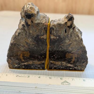 Beautiful Petrified Wood Bookends