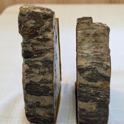 Beautiful Petrified Wood Bookends