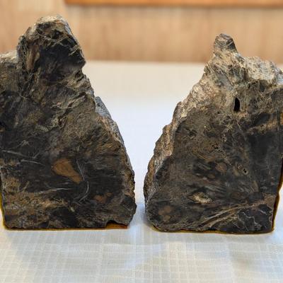 Beautiful Petrified Wood Bookends