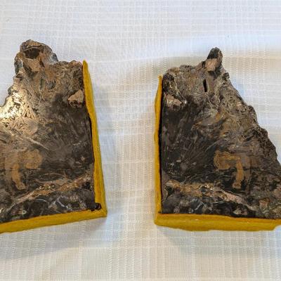 Beautiful Petrified Wood Bookends