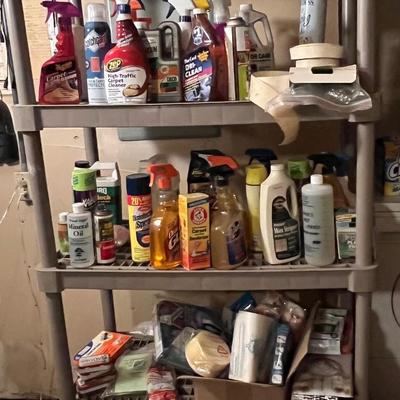 Cleaning Supplies (some vintage)