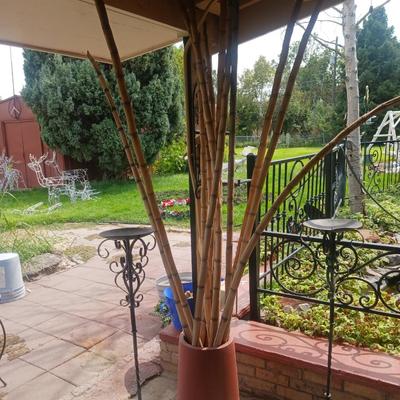 BAMBOO IN A CONCRETE PLANTER & 2 CANDLE HOLDERS