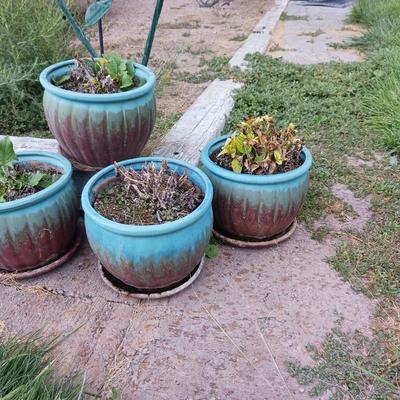 STEEL STAKED FLOWERS, SHEPHERDS HOOK AND 4 FLOWER POTS