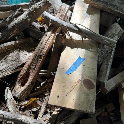 Kindling Huge Lot #2