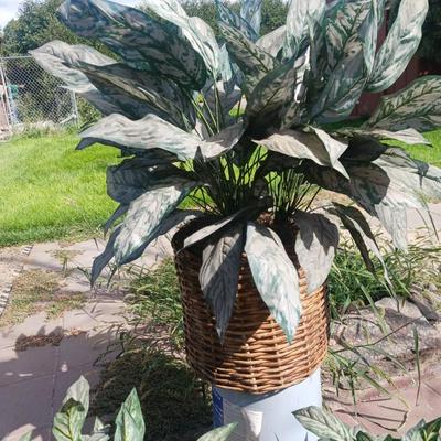 3 FAUX PLANTS