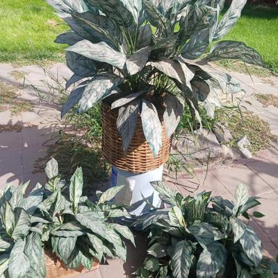 3 FAUX PLANTS
