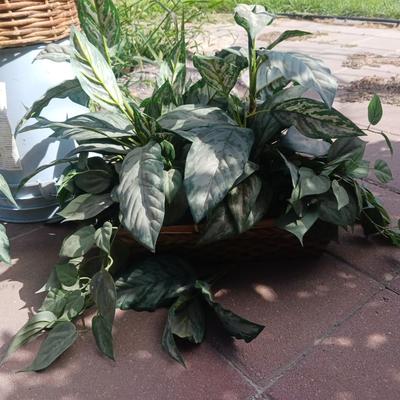 3 FAUX PLANTS