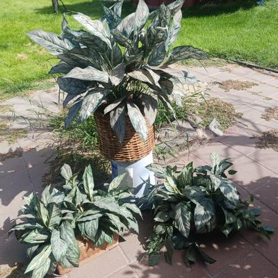 3 FAUX PLANTS
