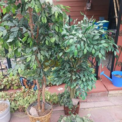 IT'S A JUNGLE OUT THERE! 2 FAUX TREES AND 2 FAUX PLANTS