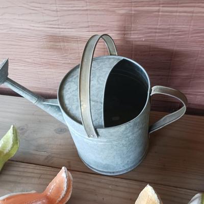 GALVANIZED WATERING CAN AND 4 HEAVY BIRDS