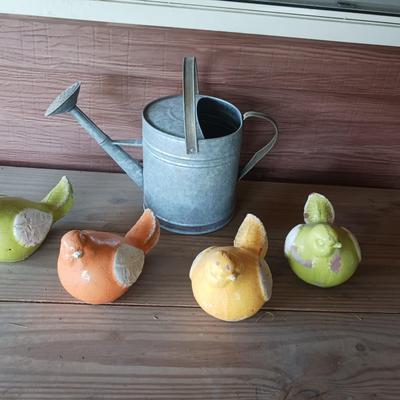 GALVANIZED WATERING CAN AND 4 HEAVY BIRDS