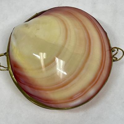 Vintage Genuine Clam Seashell Brass Hinged Mermaid Purse Trinket Box