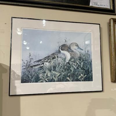 Duck print framed