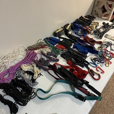 Straps, Rope & Carabiners (C-TF)