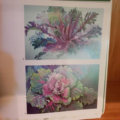 Derwent Colored Pencils, Books and More (LLR-KD)