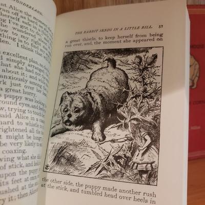 Children's Classic Books (LLR-KD)