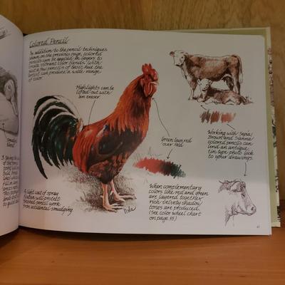 Drawing and Sketching Guides (LLR-KD)