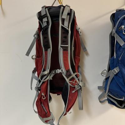 Three Osprey Backpacks and Water Reservoirs (C-TF)