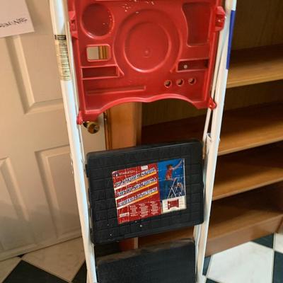 Tall & Short Step Ladders Lot