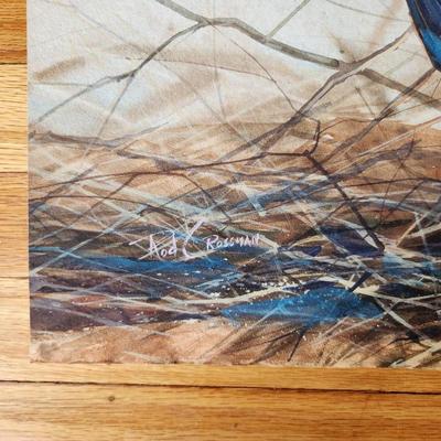 Rod Crossman Original Watercolor of the Reddish Egret
