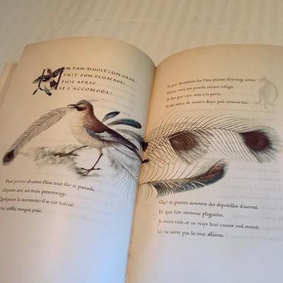 ‘Under Milk Wood’ & More Illuminated Manuscripts (2R-HS)