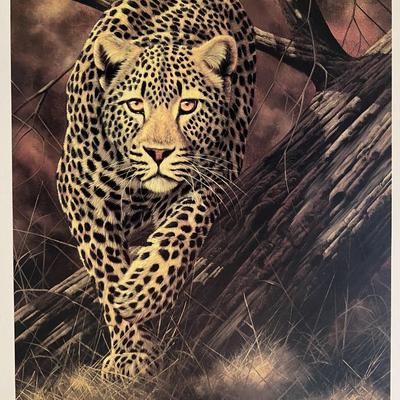 Andrew Bone Silent Stalker art print. 8x7 inches