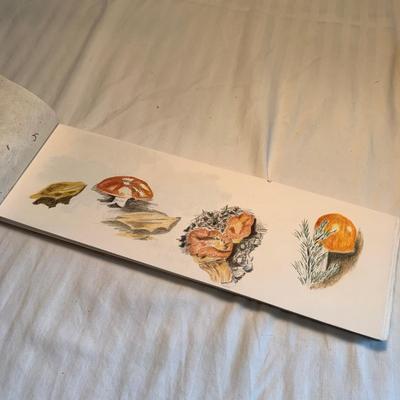 Unique Blank Handmade Books (2K-HS)