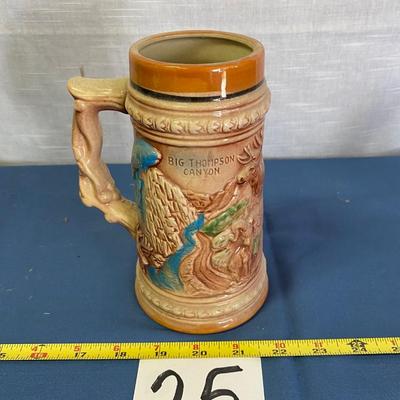 Vintage Rocky Mountain National Park Stein