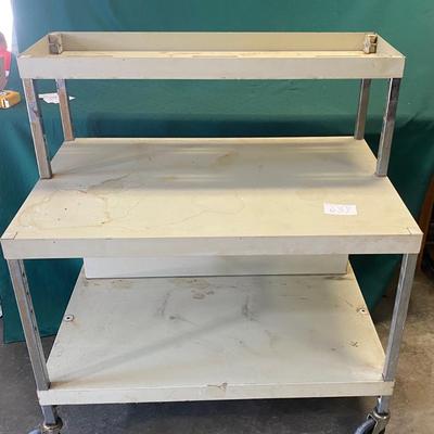 Metal Shelf on Wheels