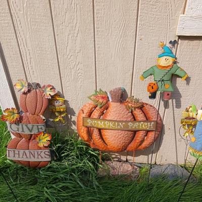 PUMPKIN PATCH!!