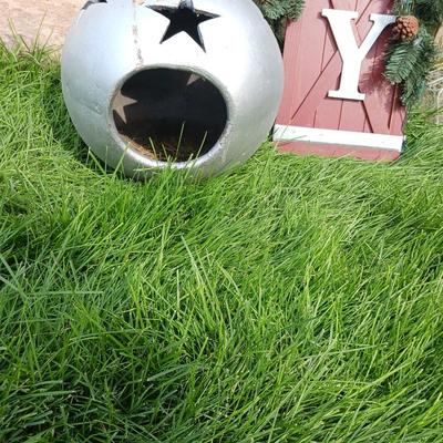 CHRISTMAS JOY
