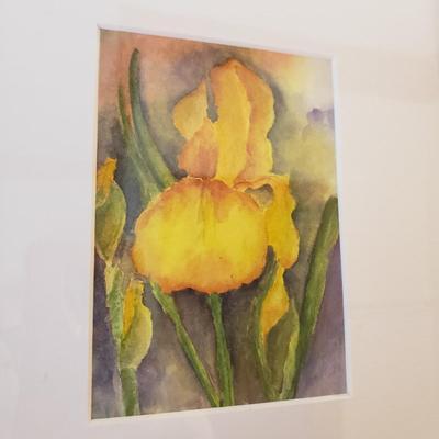Two Framed Floral Watercolors (B1-KD)