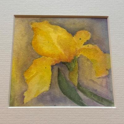 Two Framed Floral Watercolors (B1-KD)
