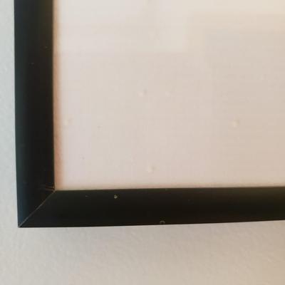 Two Framed Floral Watercolors (B1-KD)