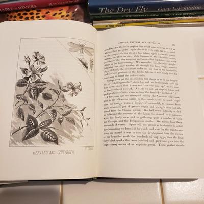 Fishing Guides and Tales (B1-KD)