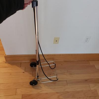 Suitcase Racks and Two Luggage Trolleys (B1-KD)