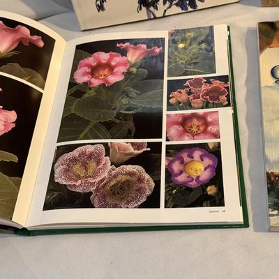 Watercolor Nature Technique Books (O-DZ)