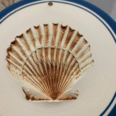 Fossils Geodes Nautical Lot