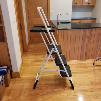 Gorilla Hybrid Ladder and Cosco Step Ladder (LLR-KD)