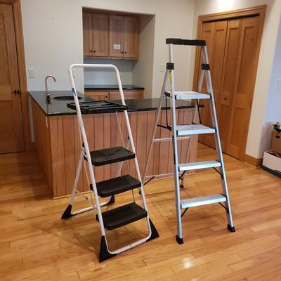 Gorilla Hybrid Ladder and Cosco Step Ladder (LLR-KD)