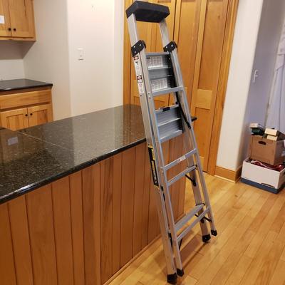 Gorilla Hybrid Ladder and Cosco Step Ladder (LLR-KD)
