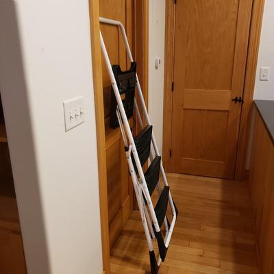 Gorilla Hybrid Ladder and Cosco Step Ladder (LLR-KD)