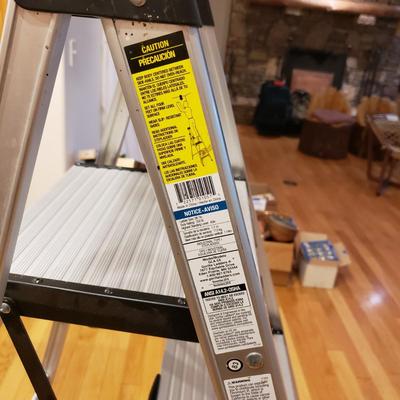 Gorilla Hybrid Ladder and Cosco Step Ladder (LLR-KD)