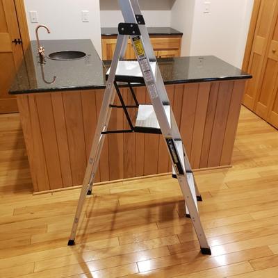 Gorilla Hybrid Ladder and Cosco Step Ladder (LLR-KD)