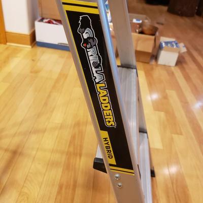 Gorilla Hybrid Ladder and Cosco Step Ladder (LLR-KD)