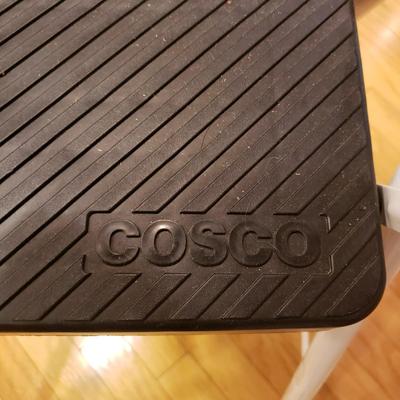 Gorilla Hybrid Ladder and Cosco Step Ladder (LLR-KD)
