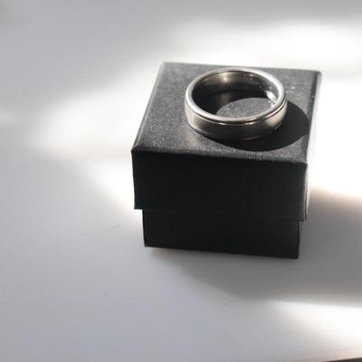 Triton Titanium Satinet stepedge Size 11 Men's ring