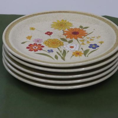 Fiesta complete set
