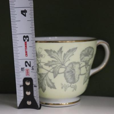 Set of 6 Wedgwood Wildflower Yellow Bone China Dinner Plates,